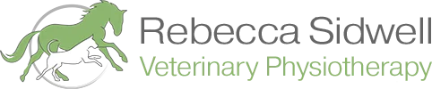 Rebecca Sidwell - Veterinary Physiotherapist